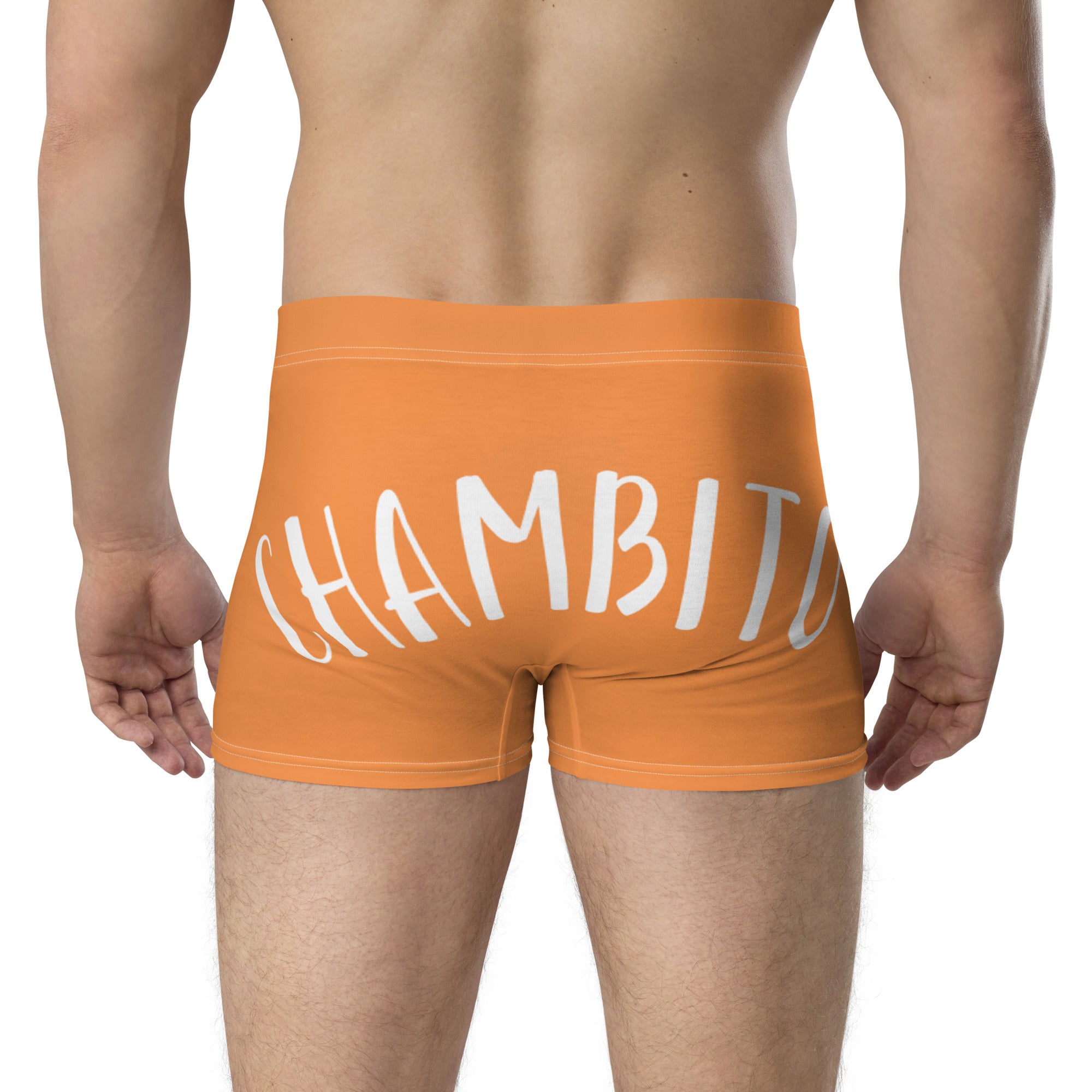 CHAMBITO BACK VIEW 